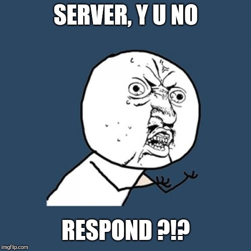 Y U No Meme | SERVER, Y U NO RESPOND ?!? | image tagged in memes,y u no | made w/ Imgflip meme maker