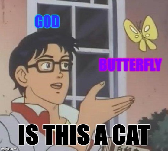 Is This A Pigeon Meme | GOD; BUTTERFLY; IS THIS A CAT | image tagged in memes,is this a pigeon | made w/ Imgflip meme maker