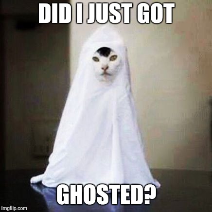 Ghost cat | DID I JUST GOT; GHOSTED? | image tagged in ghost cat | made w/ Imgflip meme maker