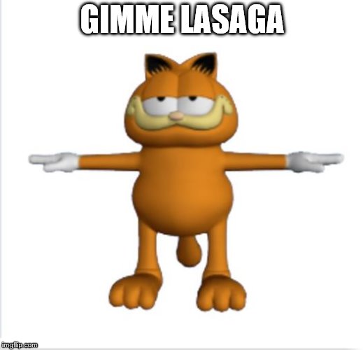 garfield t-pose | GIMME LASAGA | image tagged in garfield t-pose | made w/ Imgflip meme maker