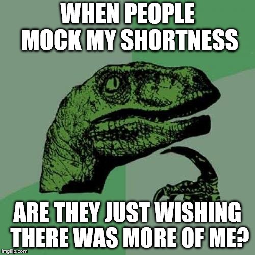 A twist on an existing meme | WHEN PEOPLE MOCK MY SHORTNESS; ARE THEY JUST WISHING THERE WAS MORE OF ME? | image tagged in memes,philosoraptor,short people | made w/ Imgflip meme maker