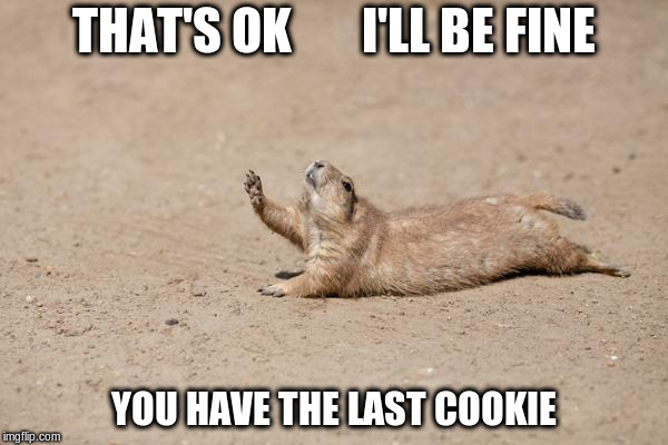 go ahead | THAT'S OK       I'LL BE FINE; YOU HAVE THE LAST COOKIE | image tagged in desperately seeking help,last cookie,memes,gopher,i'll be fine | made w/ Imgflip meme maker