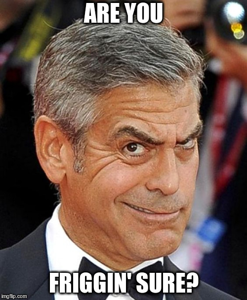 George Clooney wants to know | ARE YOU; FRIGGIN' SURE? | image tagged in george clooney,are you sure | made w/ Imgflip meme maker