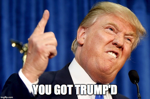 Donald Trump | YOU GOT TRUMP'D | image tagged in donald trump | made w/ Imgflip meme maker