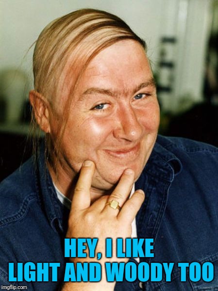 HEY, I LIKE LIGHT AND WOODY TOO | made w/ Imgflip meme maker