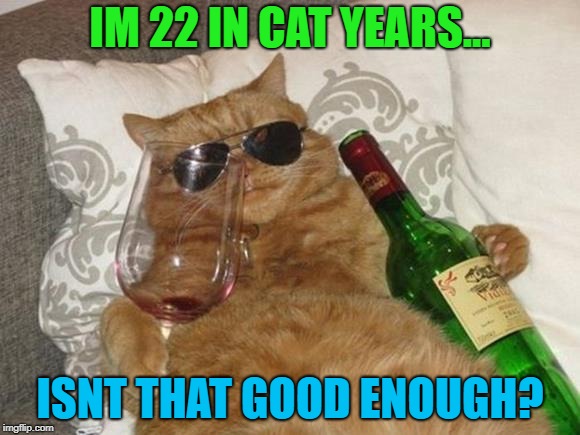 Funny Cat Birthday | IM 22 IN CAT YEARS... ISNT THAT GOOD ENOUGH? | image tagged in funny cat birthday | made w/ Imgflip meme maker