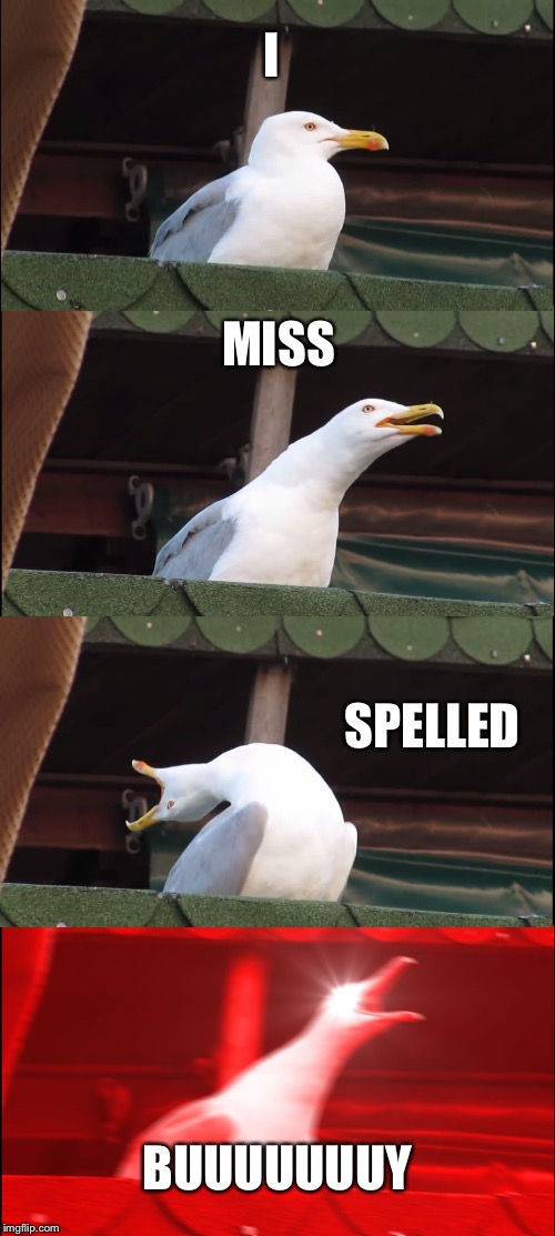 Inhaling Seagull Meme | I MISS SPELLED BUUUUUUUY | image tagged in memes,inhaling seagull | made w/ Imgflip meme maker