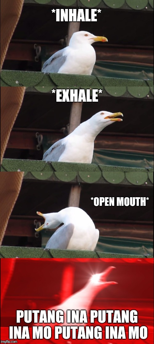 Inhaling Seagull Meme | *INHALE*; *EXHALE*; *OPEN MOUTH*; PUTANG INA PUTANG INA MO PUTANG INA MO | image tagged in memes,inhaling seagull | made w/ Imgflip meme maker