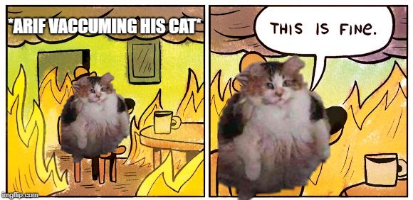 This Is Fine | *ARIF VACCUMING HIS CAT* | image tagged in this is fine dog | made w/ Imgflip meme maker
