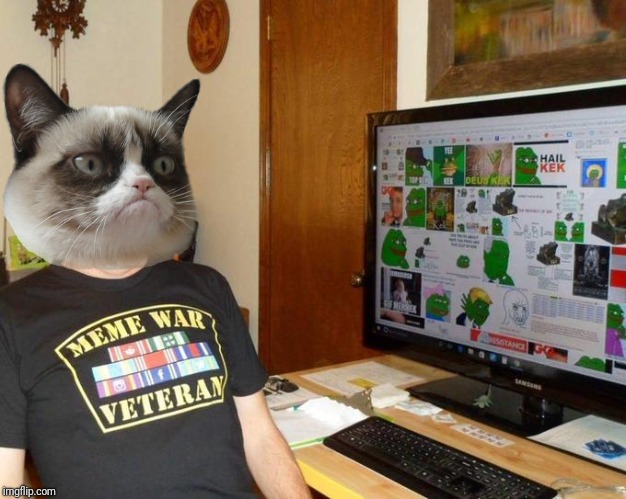 Meme War Veteran | image tagged in meme war veteran | made w/ Imgflip meme maker