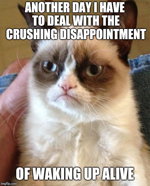 Grumpy Cat Meme |  ANOTHER DAY I HAVE TO DEAL WITH THE CRUSHING DISAPPOINTMENT; OF WAKING UP ALIVE | image tagged in memes,grumpy cat | made w/ Imgflip meme maker