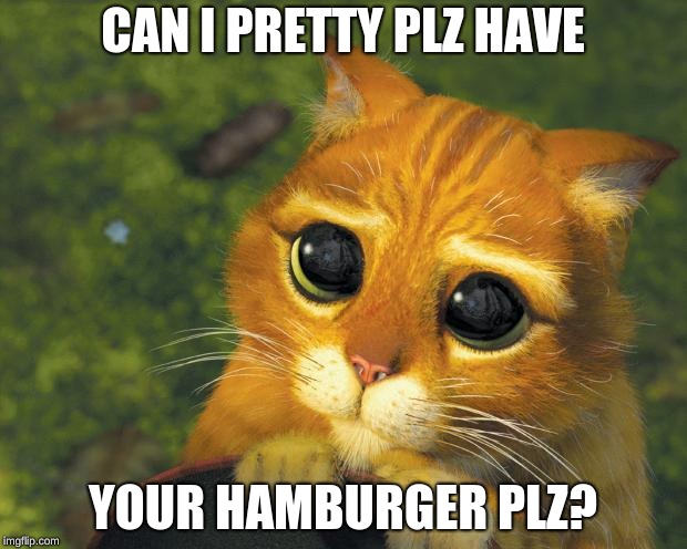  CAN I PRETTY PLZ HAVE; YOUR HAMBURGER PLZ? | image tagged in pretty please cat | made w/ Imgflip meme maker