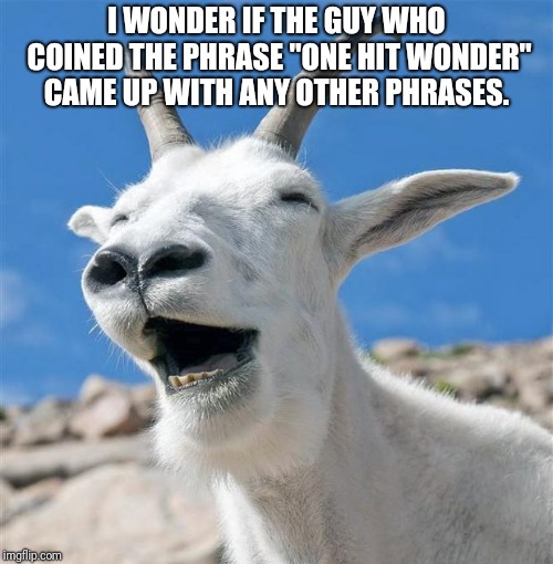 Laughing Goat | I WONDER IF THE GUY WHO COINED THE PHRASE "ONE HIT WONDER" CAME UP WITH ANY OTHER PHRASES. | image tagged in memes,laughing goat | made w/ Imgflip meme maker