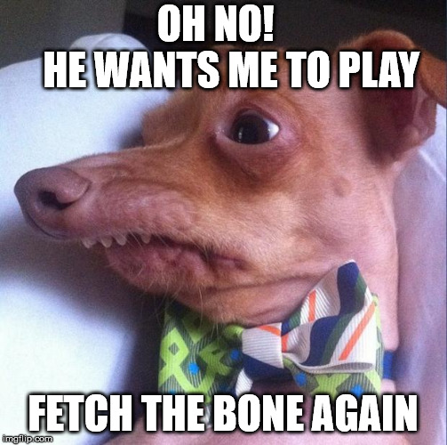 Tuna the dog (Phteven) | OH NO!       HE WANTS ME TO PLAY FETCH THE BONE AGAIN | image tagged in tuna the dog phteven | made w/ Imgflip meme maker