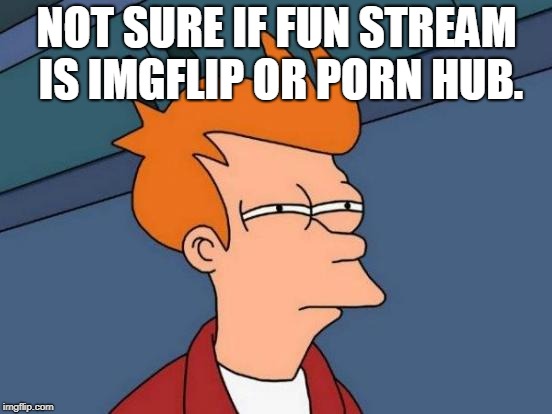 Just going by all the NSFW. LOL | NOT SURE IF FUN STREAM IS IMGFLIP OR PORN HUB. | image tagged in memes,futurama fry,nixieknox | made w/ Imgflip meme maker