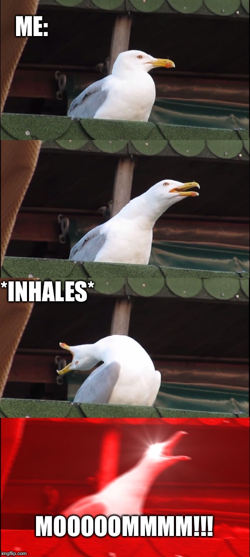 Inhaling Seagull | ME:; *INHALES*; MOOOOOMMMM!!! | image tagged in memes,inhaling seagull | made w/ Imgflip meme maker