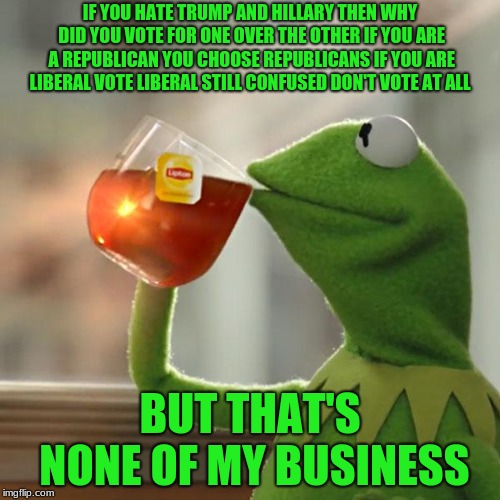 But That's None Of My Business | IF YOU HATE TRUMP AND HILLARY THEN WHY DID YOU VOTE FOR ONE OVER THE OTHER IF YOU ARE A REPUBLICAN YOU CHOOSE REPUBLICANS IF YOU ARE LIBERAL VOTE LIBERAL STILL CONFUSED DON'T VOTE AT ALL; BUT THAT'S NONE OF MY BUSINESS | image tagged in memes,but thats none of my business,kermit the frog | made w/ Imgflip meme maker