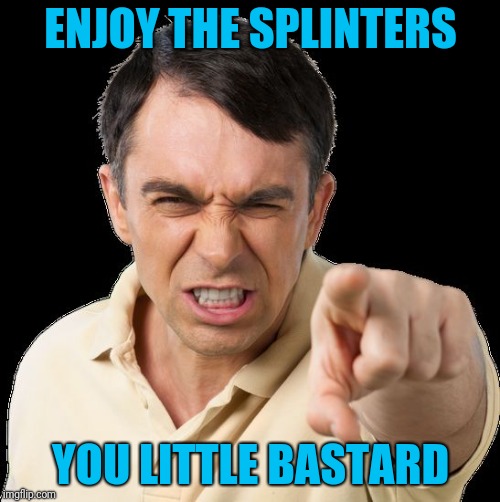 Except you | ENJOY THE SPLINTERS YOU LITTLE BASTARD | image tagged in except you | made w/ Imgflip meme maker