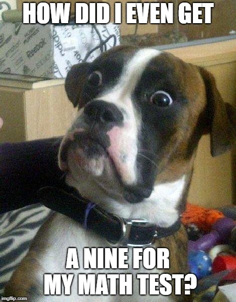 Surprised Dog | HOW DID I EVEN GET; A NINE FOR MY MATH TEST? | image tagged in surprised dog | made w/ Imgflip meme maker