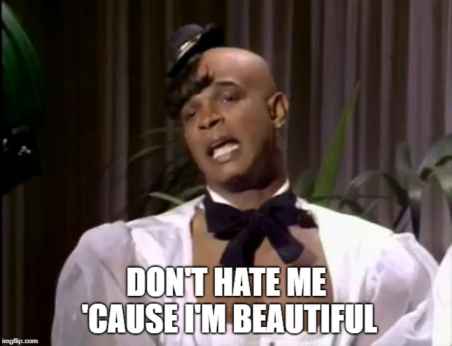DON'T HATE ME 'CAUSE I'M BEAUTIFUL | image tagged in in living color,shade,delusional,beautiful,beauty,gay | made w/ Imgflip meme maker