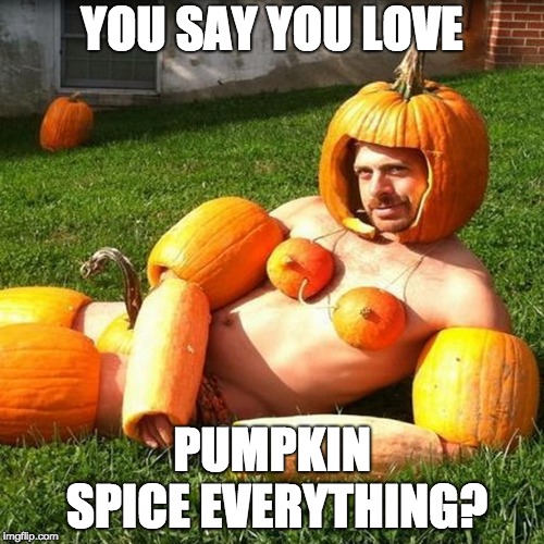 Pumpkin Spice | YOU SAY YOU LOVE; PUMPKIN SPICE EVERYTHING? | image tagged in memes,halloween,costume,pumpkin spice | made w/ Imgflip meme maker