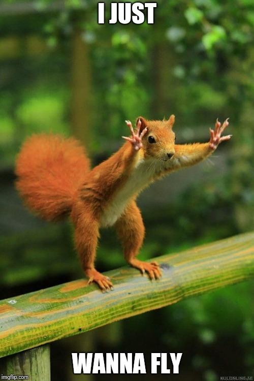 Wait a Minute Squirrel | I JUST WANNA FLY | image tagged in wait a minute squirrel | made w/ Imgflip meme maker