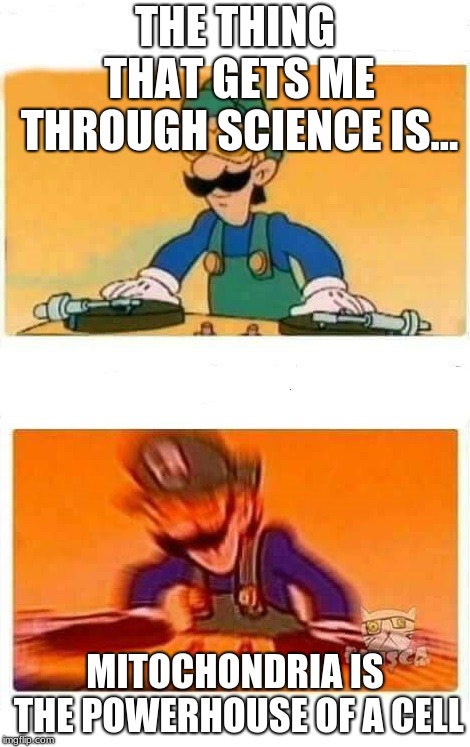 Dj Luigi | THE THING THAT GETS ME THROUGH SCIENCE IS... MITOCHONDRIA IS THE POWERHOUSE OF A CELL | image tagged in dj luigi | made w/ Imgflip meme maker