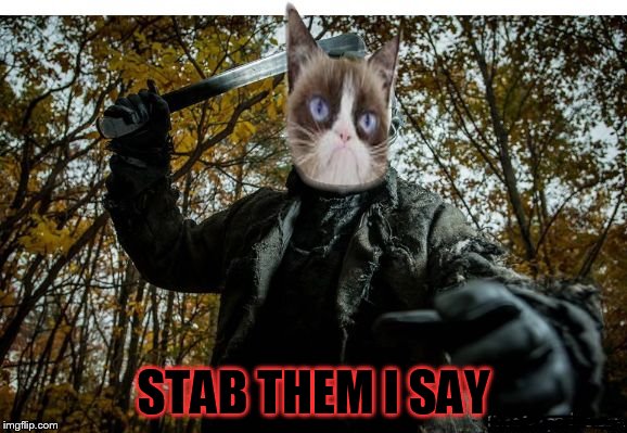 grumpy cat jason | STAB THEM I SAY | image tagged in grumpy cat jason | made w/ Imgflip meme maker
