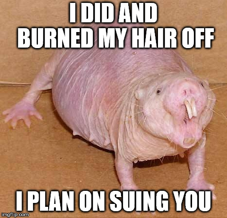 naked mole rat | I DID AND BURNED MY HAIR OFF I PLAN ON SUING YOU | image tagged in naked mole rat | made w/ Imgflip meme maker