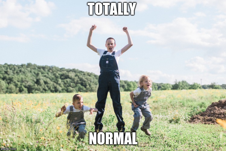 TOTALLY; NORMAL | image tagged in memes | made w/ Imgflip meme maker