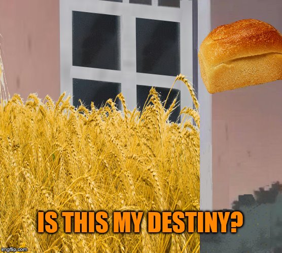 IS THIS MY DESTINY? | made w/ Imgflip meme maker