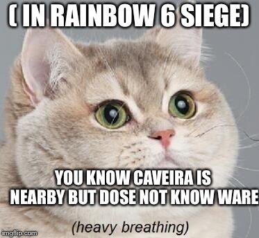 Heavy Breathing Cat | ( IN RAINBOW 6 SIEGE); YOU KNOW CAVEIRA IS NEARBY BUT DOSE NOT KNOW WARE | image tagged in memes,heavy breathing cat | made w/ Imgflip meme maker
