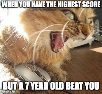 angry cat | WHEN YOU HAVE THE HIGHEST SCORE; BUT A 7 YEAR OLD BEAT YOU | image tagged in angry cat | made w/ Imgflip meme maker