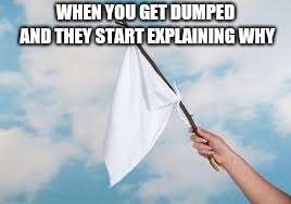 White Flag |  WHEN YOU GET DUMPED AND THEY START EXPLAINING WHY | image tagged in white flag | made w/ Imgflip meme maker