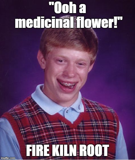 Bad Luck Brian Meme | "Ooh a medicinal flower!"; FIRE KILN ROOT | image tagged in memes,bad luck brian,horizon | made w/ Imgflip meme maker