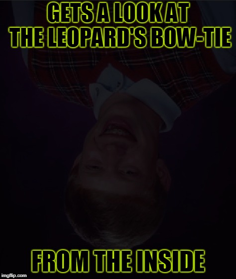 GETS A LOOK AT THE LEOPARD'S BOW-TIE FROM THE INSIDE | made w/ Imgflip meme maker