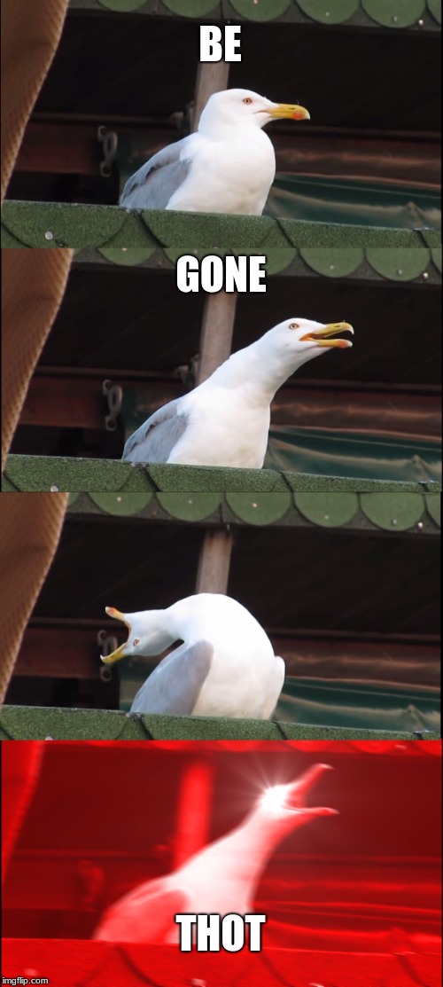 Inhaling Seagull | BE; GONE; THOT | image tagged in memes,inhaling seagull | made w/ Imgflip meme maker