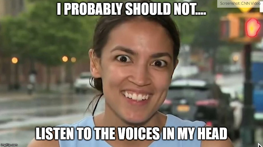 Alexandria Ocasio-Cortez | I PROBABLY SHOULD NOT.... LISTEN TO THE VOICES IN MY HEAD | image tagged in alexandria ocasio-cortez | made w/ Imgflip meme maker