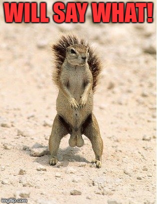 nuts | WILL SAY WHAT! | image tagged in nuts | made w/ Imgflip meme maker