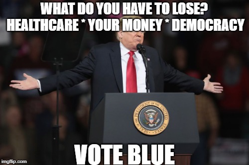 You Lose | WHAT DO YOU HAVE TO LOSE?
 HEALTHCARE
* YOUR MONEY
* DEMOCRACY; VOTE BLUE | image tagged in trump,democrats,vote | made w/ Imgflip meme maker