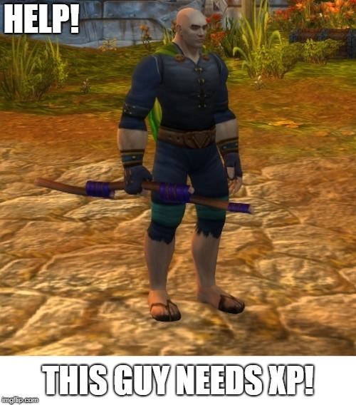 Plz halp | HELP! THIS GUY NEEDS XP! | image tagged in world of warcraft peasant,plz,noob | made w/ Imgflip meme maker