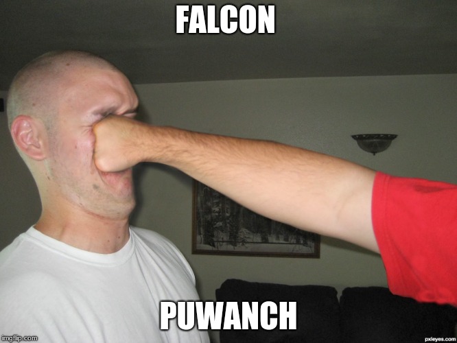 Face punch | FALCON PUWANCH | image tagged in face punch | made w/ Imgflip meme maker