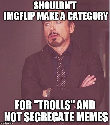 Face You Make Robert Downey Jr | SHOULDN'T IMGFLIP MAKE A CATEGORY; FOR "TROLLS" AND NOT SEGREGATE MEMES | image tagged in memes,face you make robert downey jr | made w/ Imgflip meme maker