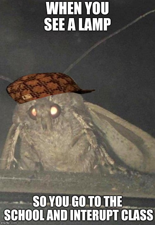 Moth | WHEN YOU SEE A LAMP; SO YOU GO TO THE SCHOOL AND INTERUPT CLASS | image tagged in moth,scumbag | made w/ Imgflip meme maker