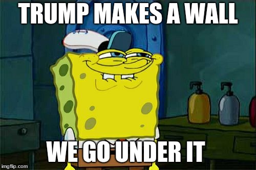 Don't You Squidward Meme | TRUMP MAKES A WALL; WE GO UNDER IT | image tagged in memes,dont you squidward | made w/ Imgflip meme maker