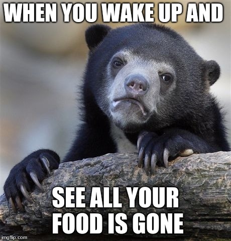 Confession Bear Meme | WHEN YOU WAKE UP AND; SEE ALL YOUR FOOD IS GONE | image tagged in memes,confession bear | made w/ Imgflip meme maker