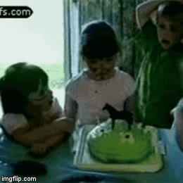 Dammit Jimmy! | image tagged in gifs,cake | made w/ Imgflip video-to-gif maker