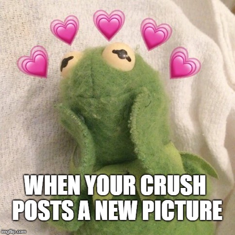 Blushing Kermit  | WHEN YOUR CRUSH POSTS A NEW PICTURE | image tagged in blushing kermit | made w/ Imgflip meme maker