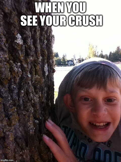 WHEN YOU SEE YOUR CRUSH | image tagged in when your crush | made w/ Imgflip meme maker