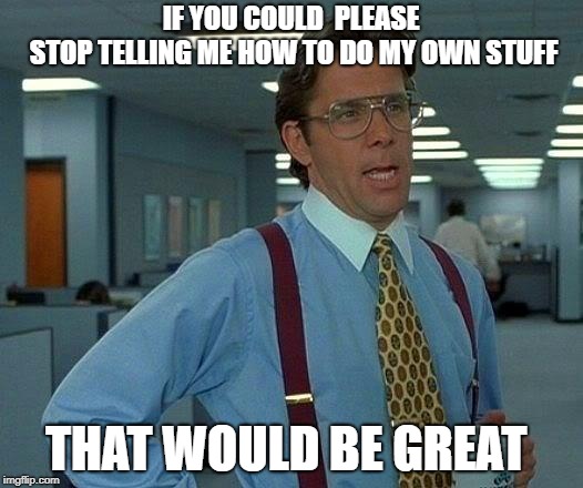 That Would Be Great Meme | IF YOU COULD  PLEASE STOP
TELLING ME HOW TO DO MY OWN STUFF; THAT WOULD BE GREAT | image tagged in memes,that would be great | made w/ Imgflip meme maker